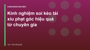 Read more about the article Kinh nghiệm soi kèo tài xỉu phạt góc hiệu quả từ chuyên gia